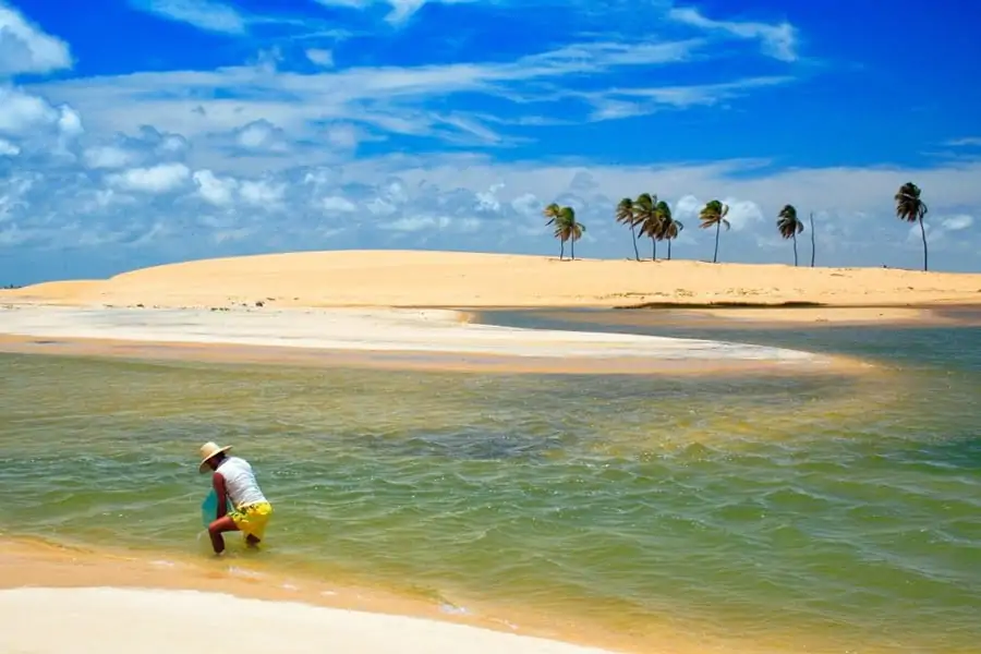 Foz do Rio São Francisco