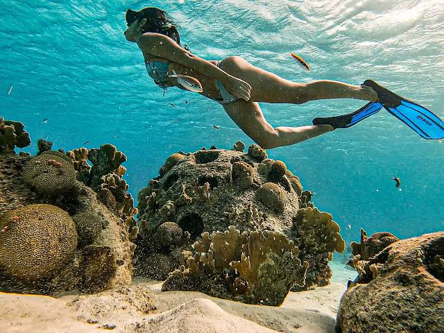 Mergulho e snorkel