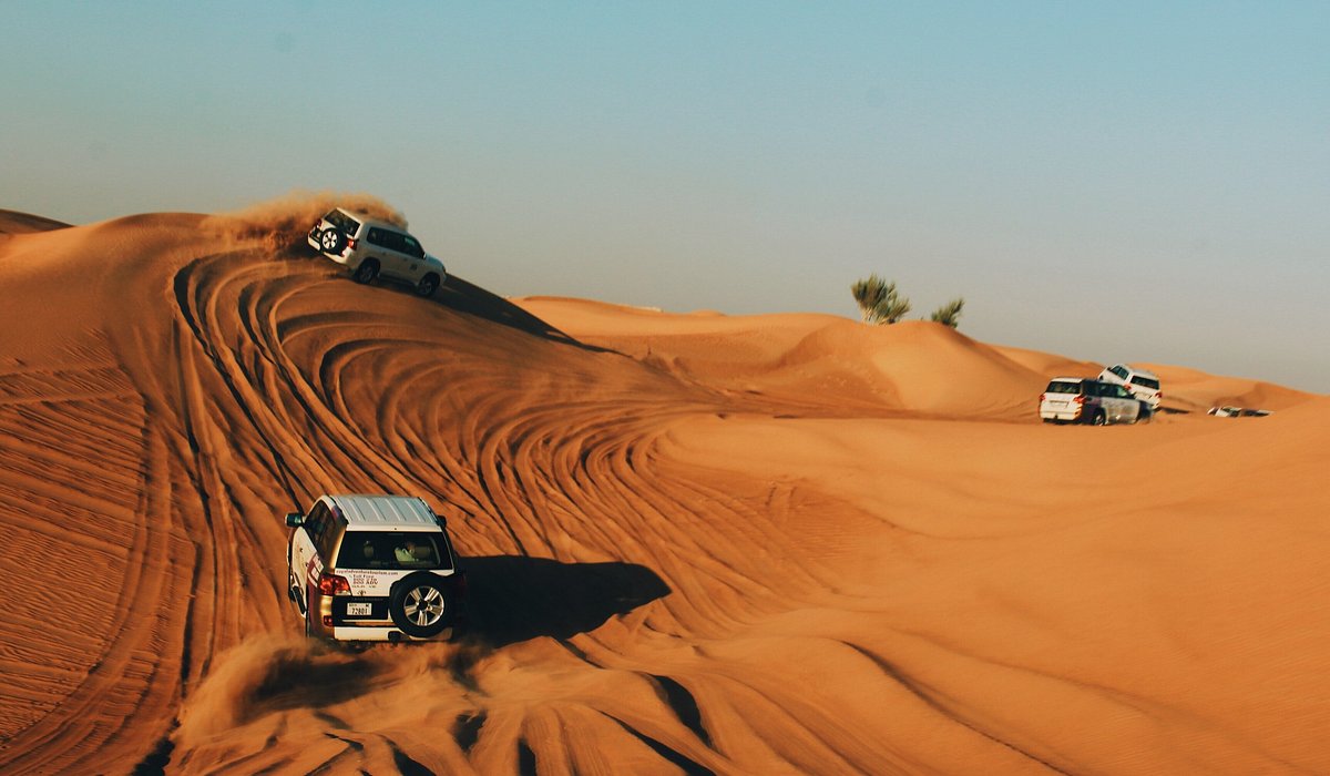 Safári no deserto